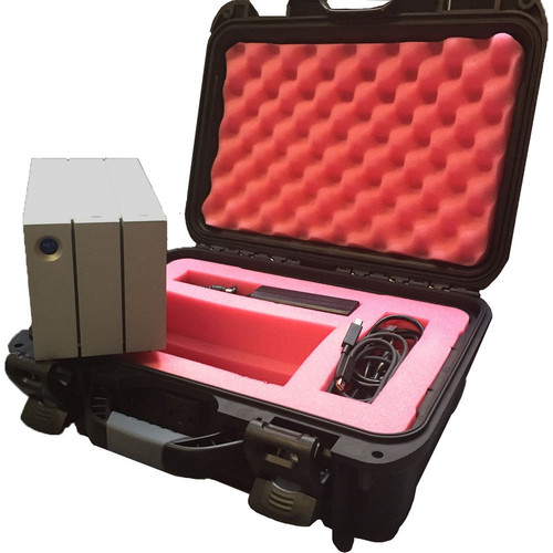 Turtle Carrying Case for the LaCie 2big RAID Array (Black)