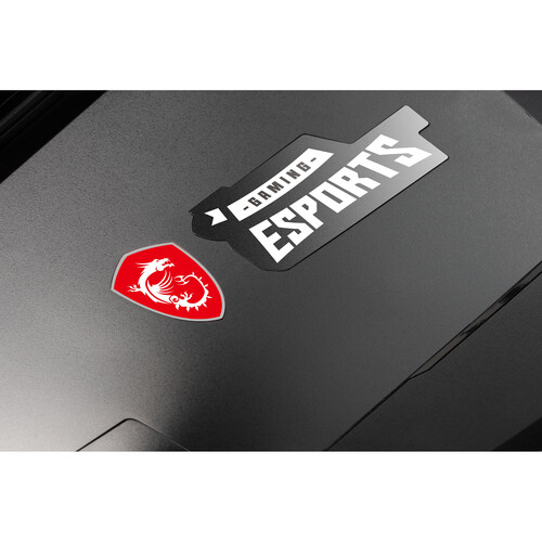 MSI Optix MAG251RX 24.5