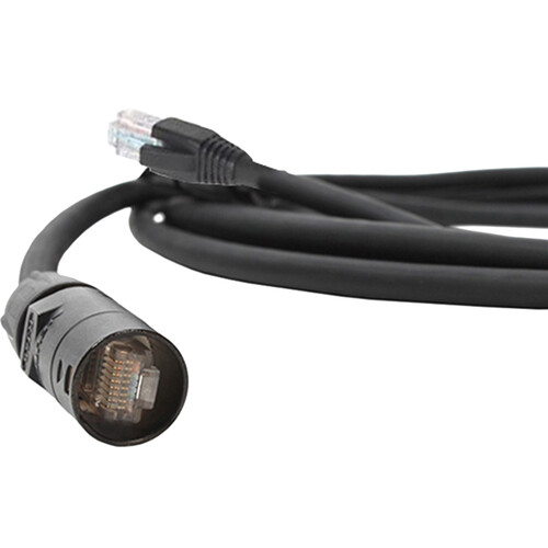 Pro Co Sound ProCat 5 10/100 Base-T Ethernet Cable RJ-45/ EtherCon (3')